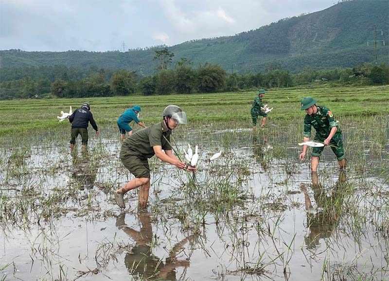 Huế: Tăng cường quản lý, chủ động bảo vệ đa dạng sinh học