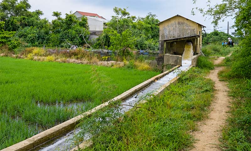 Đảm bảo công trình thủy lợi và nguồn nước phục vụ sản xuất vụ Hè Thu 2026